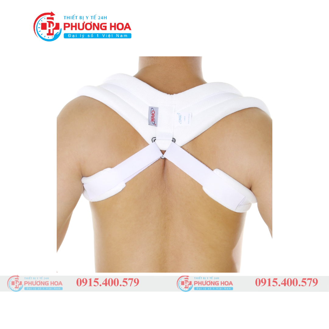 Đai số 8 ORBE